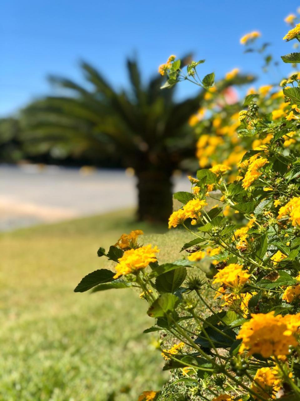 Reserva Praia Hotel Balneário Camboriú Εξωτερικό φωτογραφία